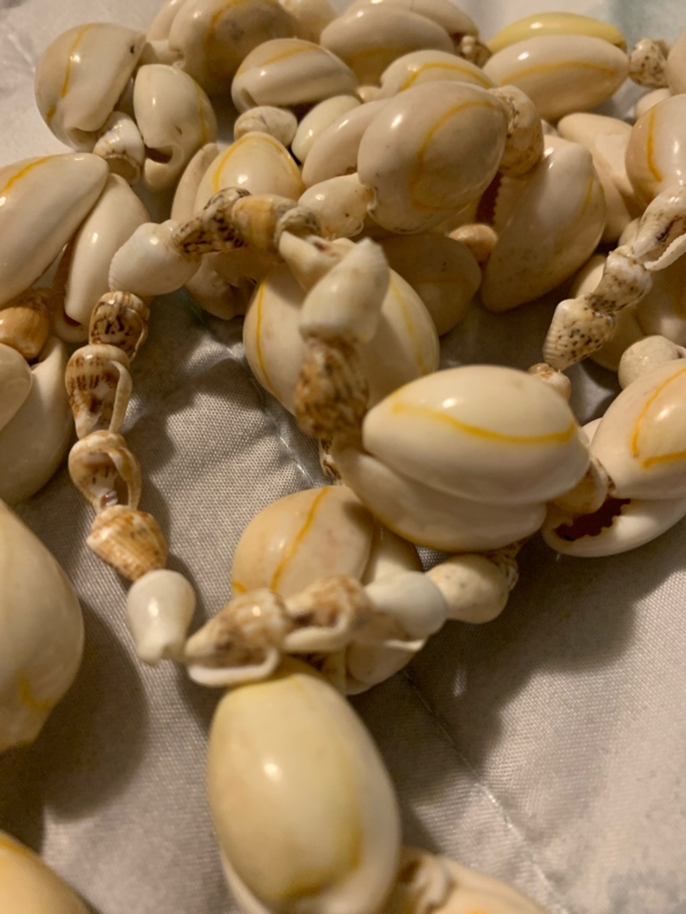 Shell Bead Necklace - Picture 6 of 7